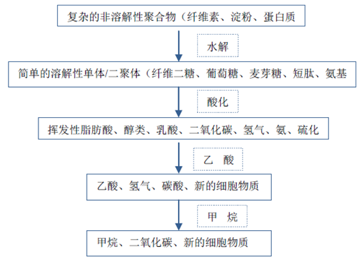 厭氧反應流程圖-華夏經(jīng)緯市場調(diào)查公司